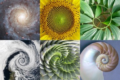 Golden Ratio Emergence